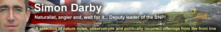 Simon Darby Naturalist