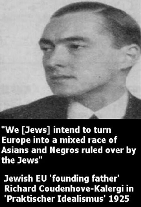 Richard Coudenhove-Kalergi Praktishe Idealismus