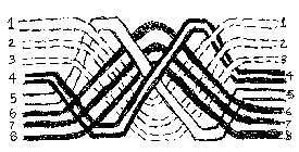 schematic arrangement of eight sub-rings